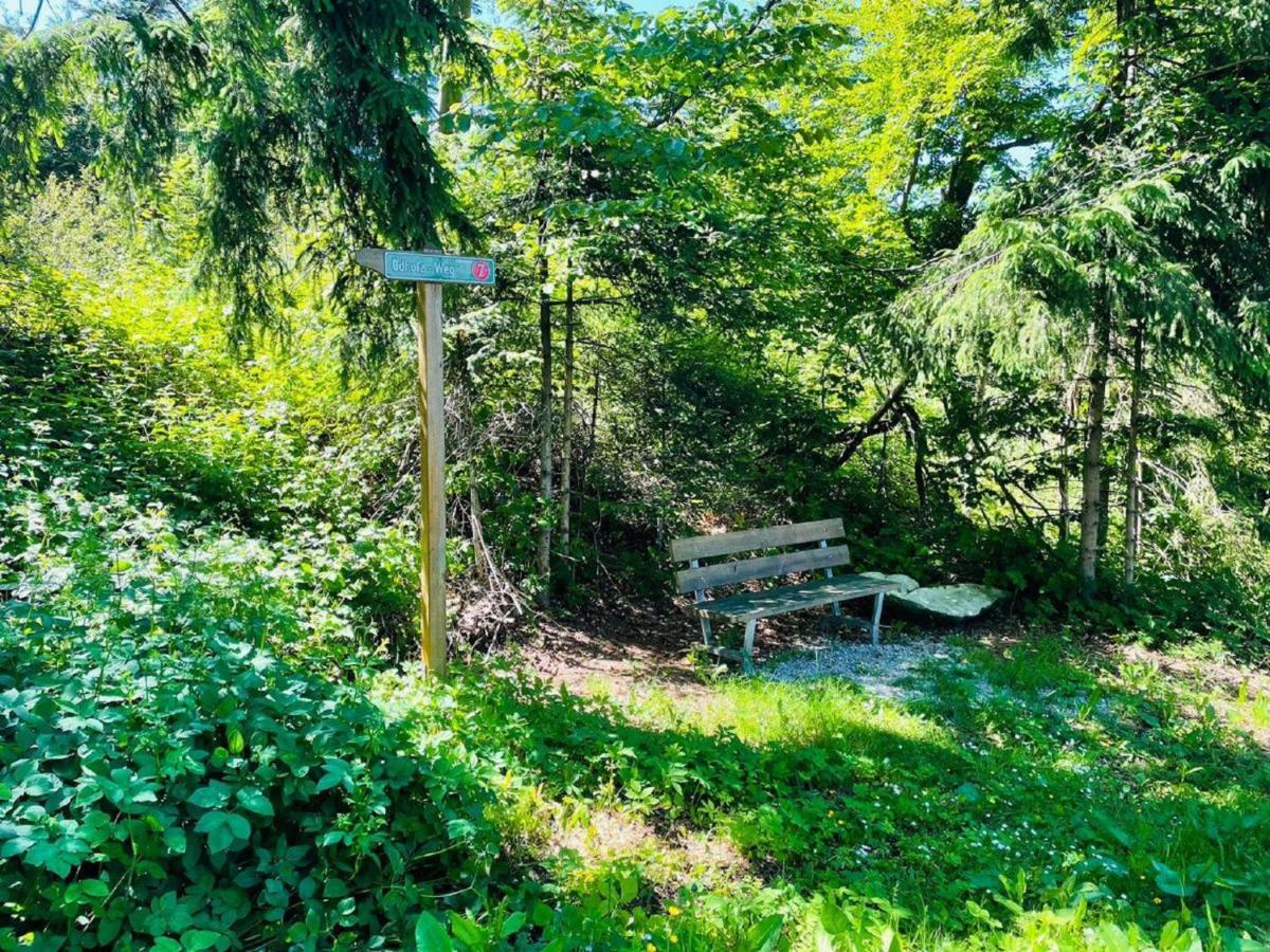 Appartement Zum Hirsch'N Waldkirchen Exteriör bild