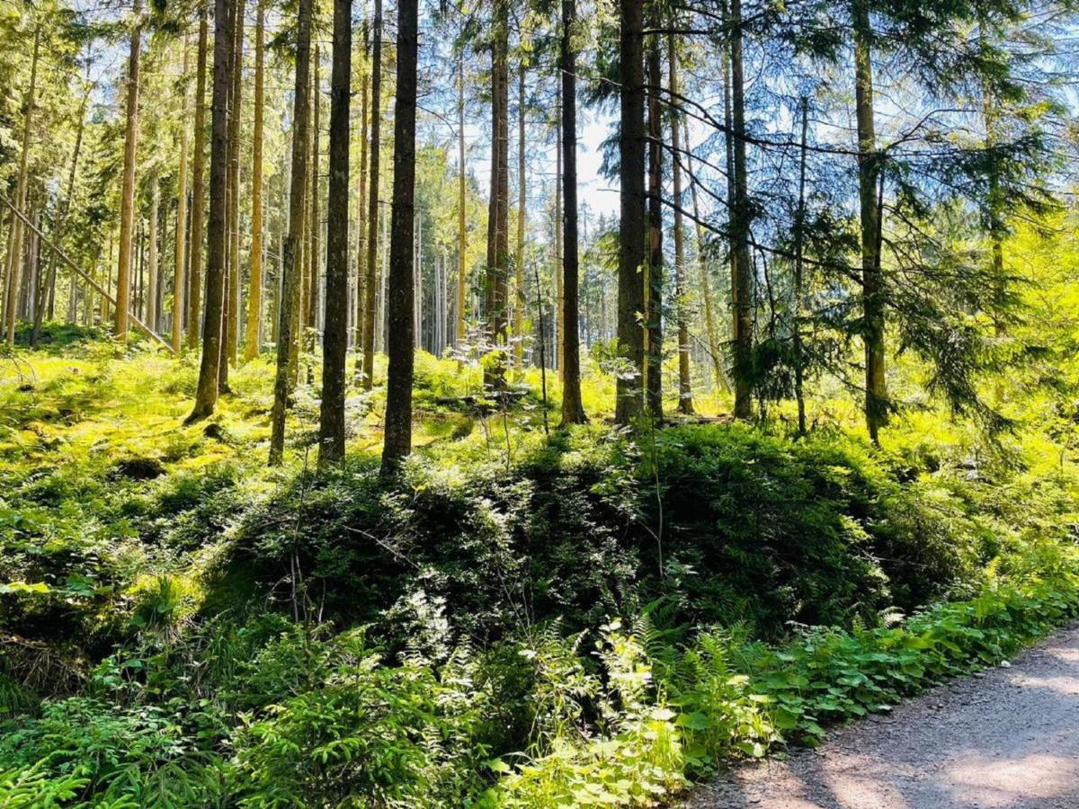 Appartement Zum Hirsch'N Waldkirchen Exteriör bild